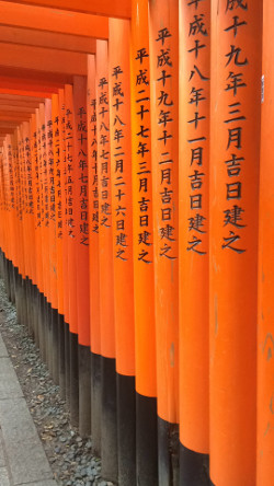 Tori Gate, Kyoto