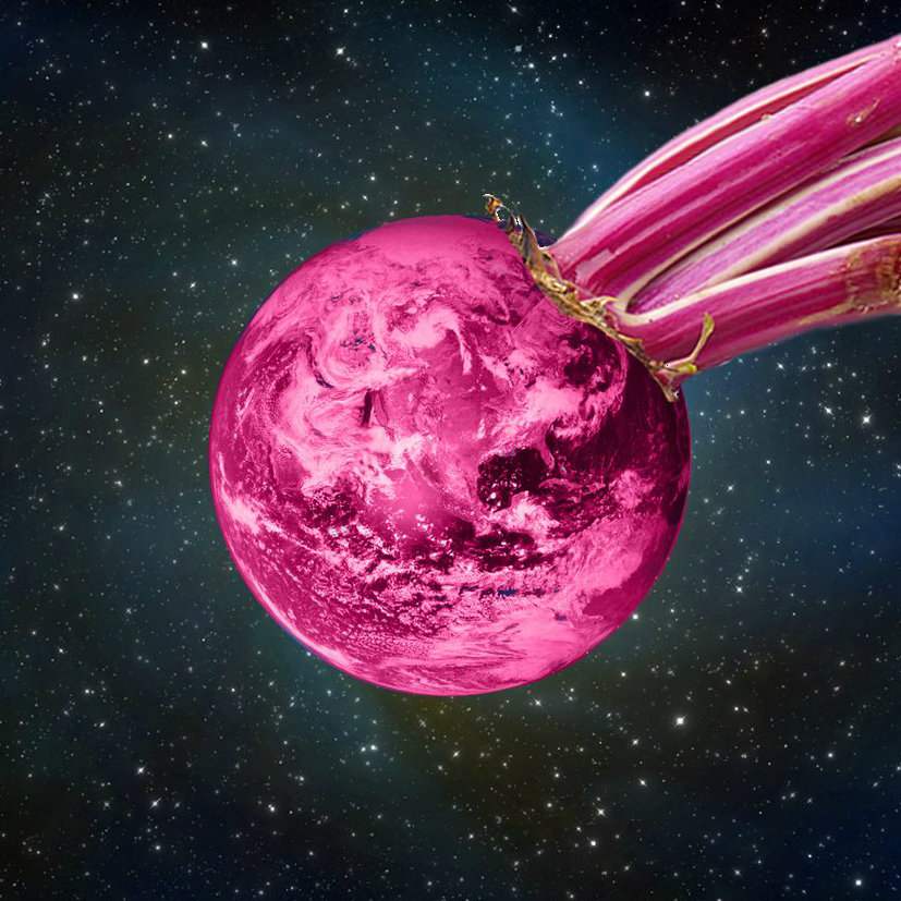 Whirled Beets Album Cover