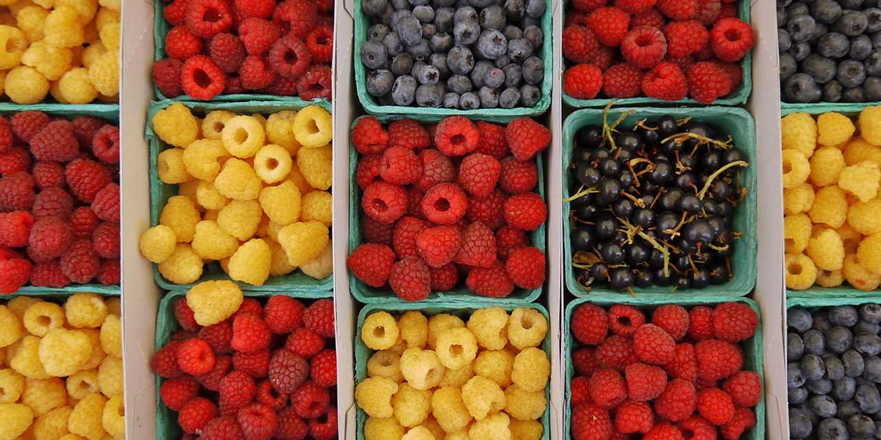 Berries in tubs